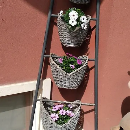 Domus Bed & Breakfast Modugno