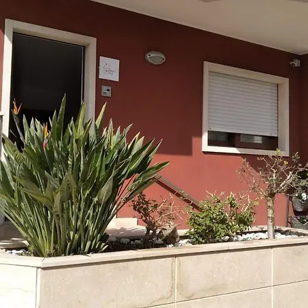 Bed and Breakfast Domus 3*