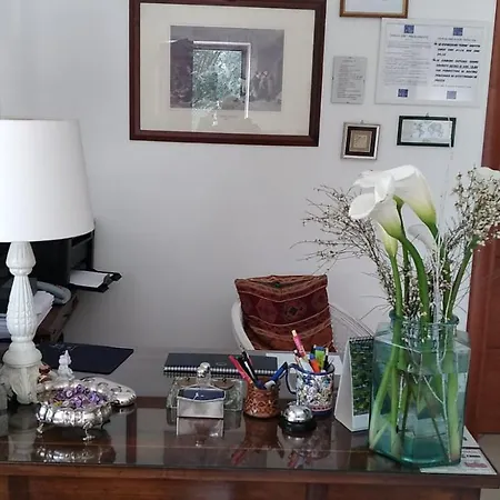 Domus 3* 莫杜尼奥